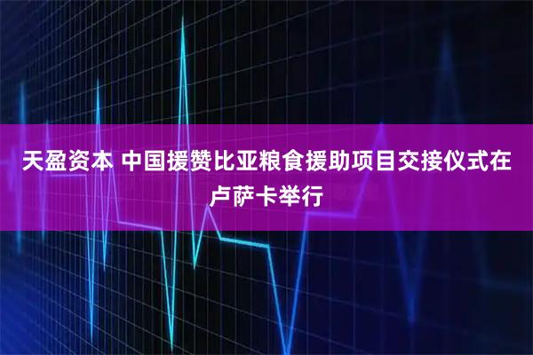 天盈资本 中国援赞比亚粮食援助项目交接仪式在卢萨卡举行